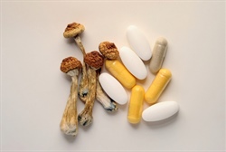 Psilocybin Paper Goes Viral