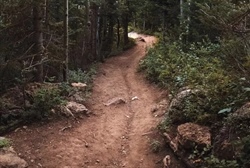 Trails for all, trails forever: How trails promote positive mental health