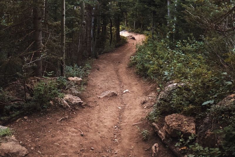 Trails for all, trails forever: How trails promote positive mental health